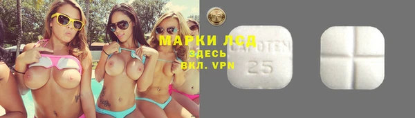 твердый Горнозаводск