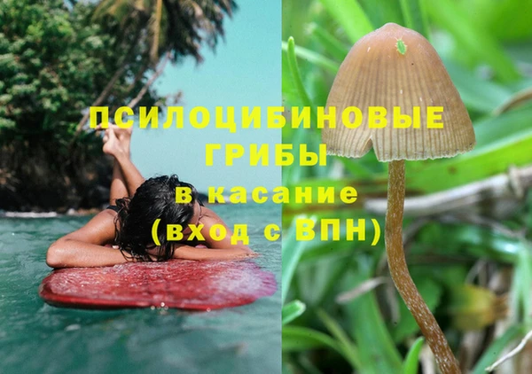 твердый Горнозаводск