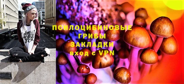 стафф Горняк
