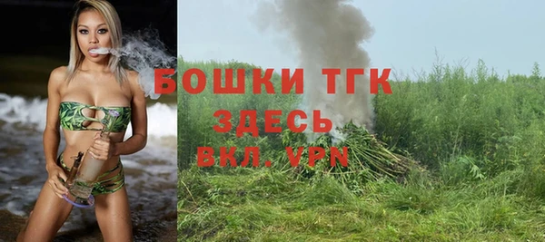 твердый Горнозаводск