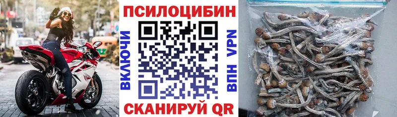 Купить закладки  Брюховецкая  Галлюциногенные грибы Magic Shrooms 